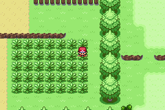 1636 - Pokemon Fire Red Reworked and Expanded.png