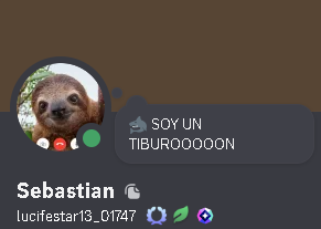 1780204828305.png
