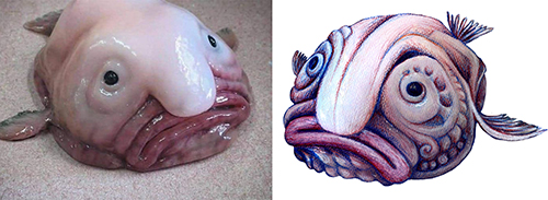 Blob y Blobarium.jpg