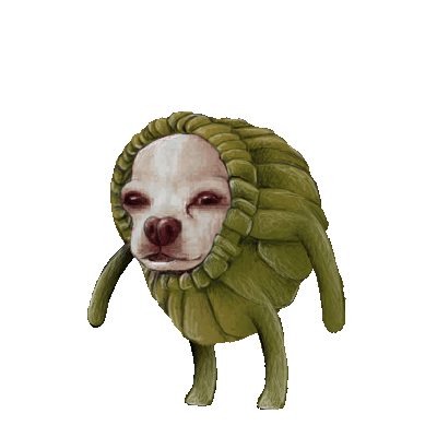 Chiwi-400x400.gif