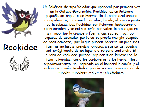 image (1).png