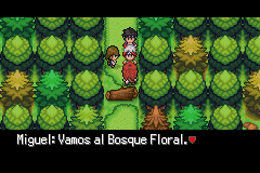 pokeemerald-7.png