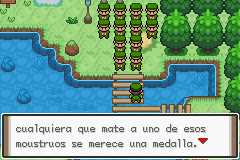 Pokemon FireRed_03.png