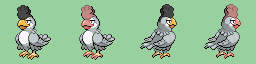 Squawkabilly (gris).png