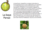 image (1).png