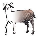 burro-front-400x400-+-AD.gif