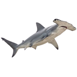 1785259539999.png