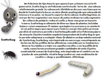 image (2).png