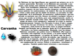 image (3).png