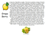 image (1).png