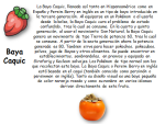 image (2).png