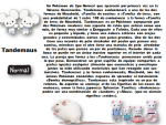 image (2).png