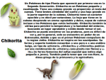 image (2).png