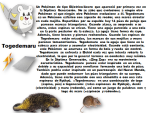 image (2).png