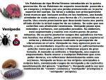 image (2) (1).png
