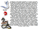 image (1).png