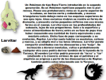 image (3).png