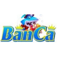 Banca28comvc