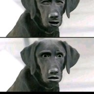 LanamomPssyDestroyer