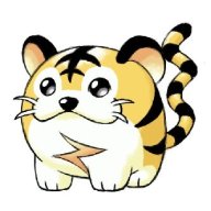 Kotora