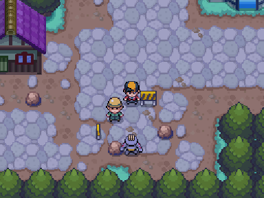 Imagen de Pokémon Edición Sombría