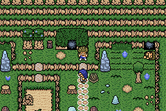 Imagen de Pokémon Viajes con Celebi